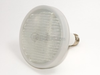 18 Watt, Frosted PAR38 Cold Cathode Lamp - U3000538 - bulbs.com