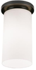 Z2043 Flush Mounts-Other - 455866 - Capital Lighting, Inc.