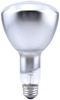 Standard Incandescent Lamp -- 50ER30/RP-120V/15110 - Image