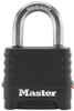 Padlocks -- 108880 - Image