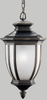 Exterior -Hanging - 54718 - Light Center (The)