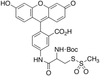 (L)-2-[(t-Boc)amino]-2-[(5-Fluoresceinyl)aminocarbonyl]eth.. -- B619050 - Image