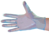 Disposables Gloves, Vinyl -- 2906W