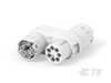 Standard Circular Connectors - 1879995-1 - TE Connectivity