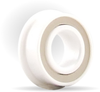 Flanged Full Ceramic Series Radial Full Ceramic Bearings -- FR6-PP/TP/C3 ZRO2 LD
