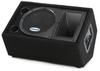 PA Monitor Speaker - RS10M - Visual Sound, Inc.