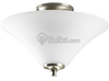 Close-to-Ceiling - P3855-09 - bulbs.com