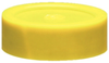 Rigid PVC Conduit Plug/Cap -- EMT250C - Image