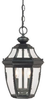 Exterior -Hanging - 63823 - Light Center (The)