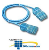 ICC IC110 to IC110 Patch Cord, Blue - ICPCSRXXBL - TelephoneStuff.com