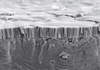 ENIG Surface Finish for PCBs - Affinity ™ Flex - MacDermid Alpha Electronics Solutions