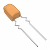 Tantalum Capacitors -- 199D106X9016C9V1E3-ND - Image