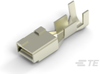 Connector Contacts - 316041-6 - TE Connectivity