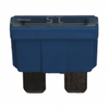 Fuses - WK6260-ND - DigiKey
