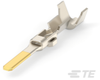 Automotive Terminals - 171631-2 - TE Connectivity