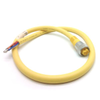 QD Cable/Cord Set - Radwell International