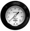 PTB Series Turbine Gauge -- PTB4101GE - Image