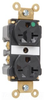 Duplex/Single Receptacle -- 8800-BK - Image