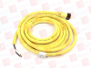 QD Cable/Cord Set - 206020282 - Radwell International
