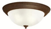 8110TZ Flush Mounts-Bowl Style - 721138 - Capital Lighting, Inc.