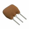 Ceramic Filters -- 490-4713-ND