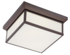 6919-281 2 Light Flush Mount - 6919-281 - Minka Group