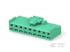 Rectangular Wire & Cable Connectors & Housings - 4-2421885-9 - TE Connectivity