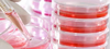 Biotech-Biopharma Salts -  - DPL-US