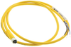 Sensor Cord, M8 3P Rcpt-Free End, 1M; Connector Type A Turck - 23R7734 - Newark, An Avnet Company