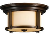 OL7513HTBZ Exterior -Ceiling Mount - 456584 - Capital Lighting, Inc.