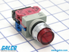 IDEC Pushbutton Illuminated - ALW29911DN-R-120V - Galco Industrial Electronics