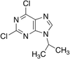 2,6-Dichloro-9-isopropylpurine - 9278 - Medical Isotopes, Inc.