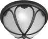 Exterior -Ceiling Mount - 86802 - Light Center (The)
