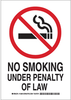 No Smoking Sign - 128017 - Brady Corporation