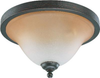 Flush Mounts-Bowl Style - 86296 - Light Center (The)