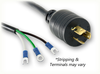 LOCKING NEMA L6-15P to ROJ SPECIAL HOME // Power Cords // High Voltage Power Cords // Locking Blade Power Cords -- 1666.096S - Image