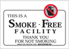 No Smoking Sign - 123914 - Brady Corporation