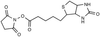 N-Succinimido-(+)-biotin - 13536 - Medical Isotopes, Inc.