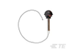 Antennas - ANT-DB1-WRT-MHF4 - TE Connectivity