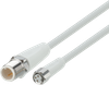 Connection cable - EVF236 - ifm electronic gmbh