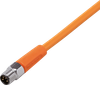 Connecting cable with plug - EVT219 - ifm electronic gmbh