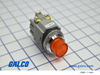 IDEC Pushbutton Illuminated - AOLD29920DN-A-24V - Galco Industrial Electronics
