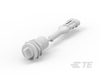 DIP Switch - K1154538 - TE Connectivity