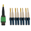 Fiber Optic Cables -- 95-N390X-02M-8L-AP-ND - Image