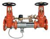 Lead Free* Reduced Pressure Detector Assemblies - 0792425 - Watts