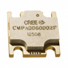 RF Amplifiers - CMPA0060002F - ODG (Origin Data Global)