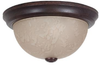 Flush Mounts-Bowl Style - 288520 - Light Center (The)