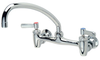 AquaSpec® wall-mount sink faucet with 9-1/2