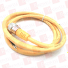 QD Cable/Cord Set - 4058719 - Radwell International