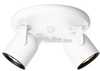 Two-Light Ceiling Mount Round Back Directional Light Fixture - P6148-30WB - bulbs.com